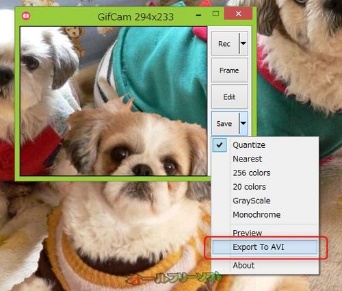 AVIファイルへのエクスポートに対応したGifCam 3.0