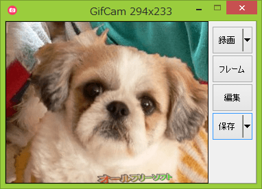 GifCam の日本語化ファイルが公開されました。